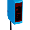 WL250-2P1131