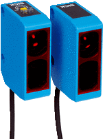 WSE250-2P1131